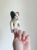 Niedliche Fingerpuppe Katze bunt aus Filz I Fingerspiel I Bauernhoftier I Haustiere I Spielzeug Montessori I Geschichten erzählen I Katzen