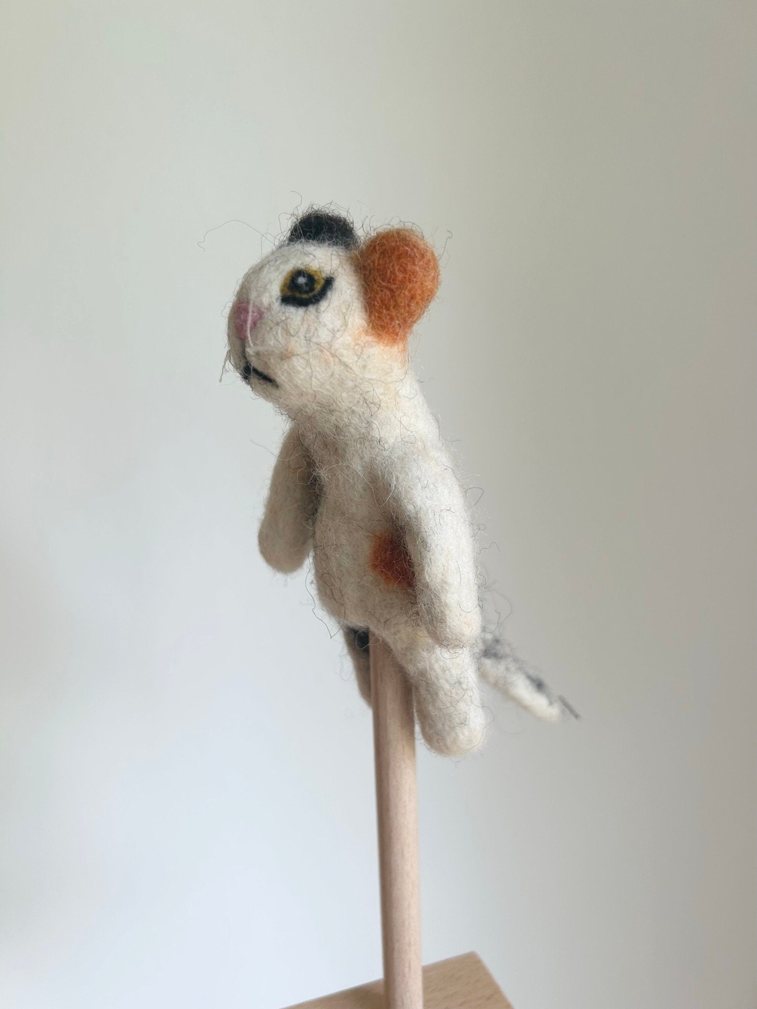 Niedliche Fingerpuppe Katze bunt aus Filz I Fingerspiel I Bauernhoftier I Haustiere I Spielzeug Montessori I Geschichten erzählen I Katzen