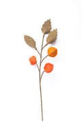Physalis I Beerenzweig orange I handgefilzter Zweig I Dekoration I Blumenstrauß I
