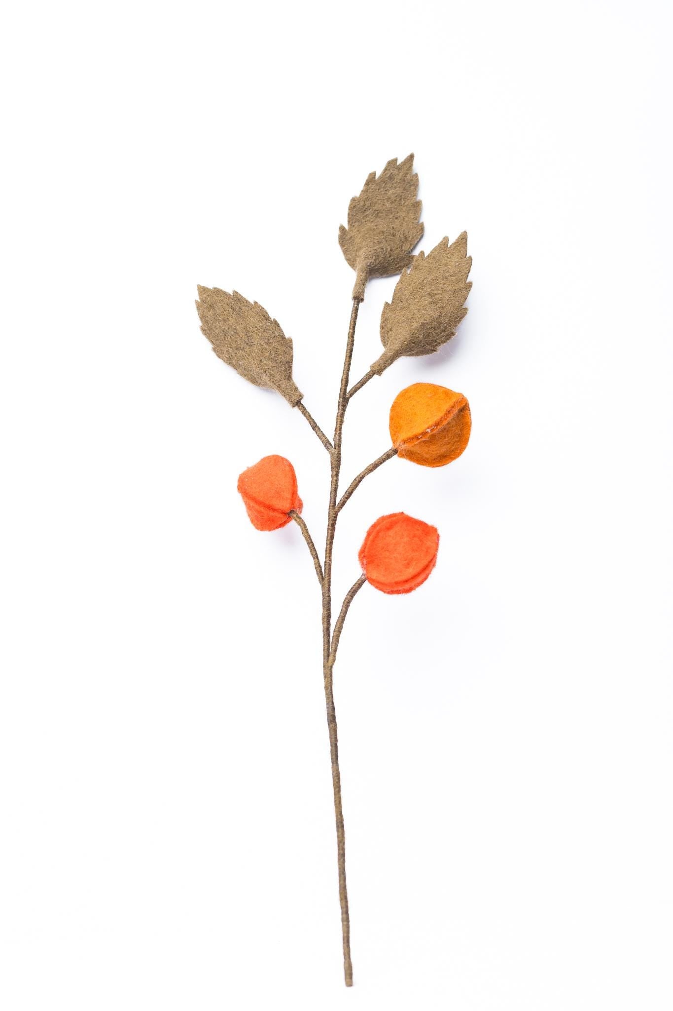 Physalis I Beerenzweig orange I handgefilzter Zweig I Dekoration I Blumenstrauß I
