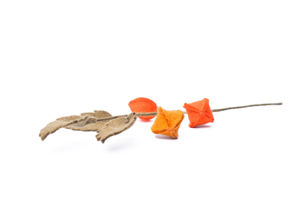Physalis I Beerenzweig orange I handgefilzter Zweig I Dekoration I Blumenstrauß I