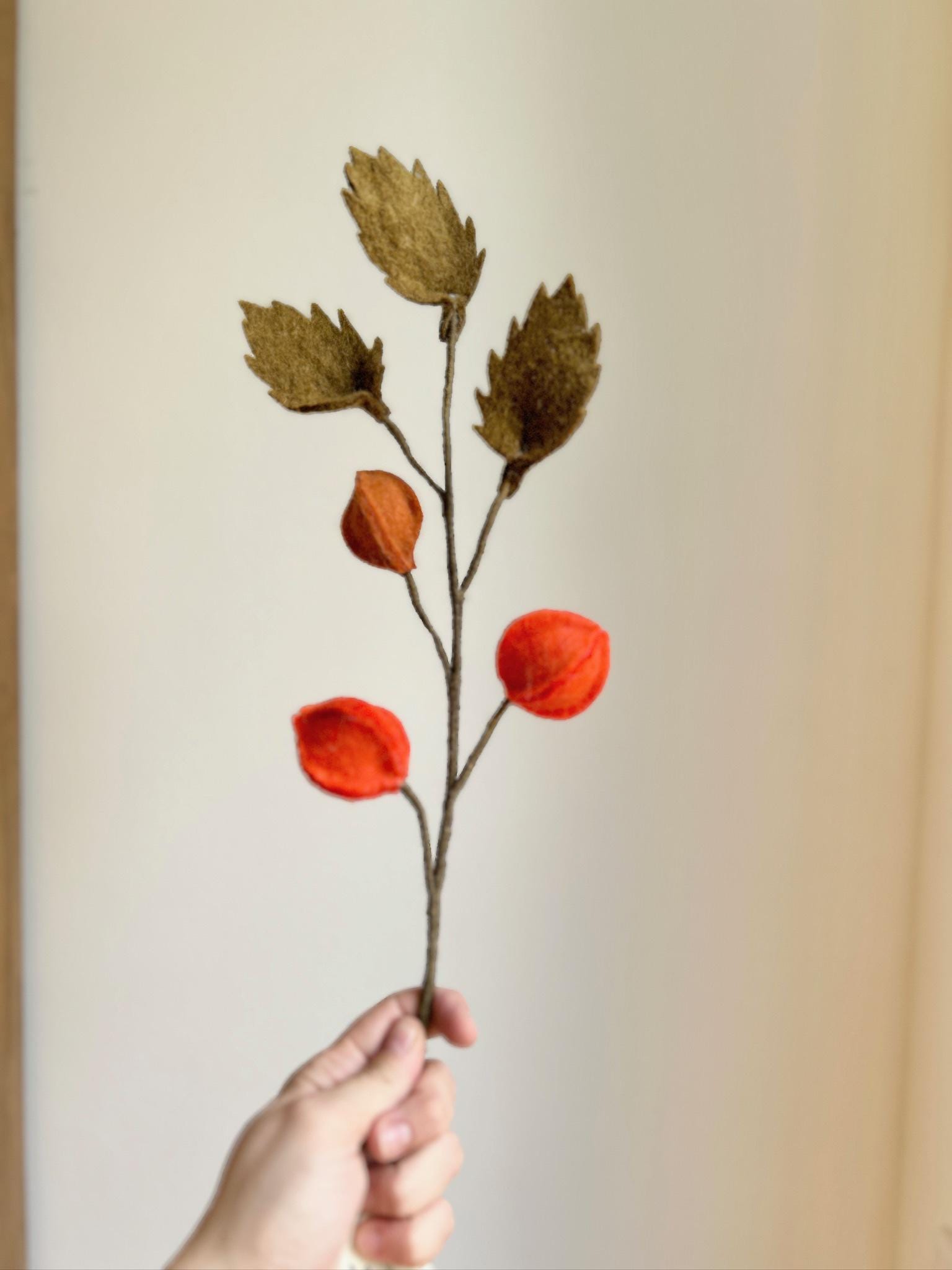 Physalis I Beerenzweig orange I handgefilzter Zweig I Dekoration I Blumenstrauß I