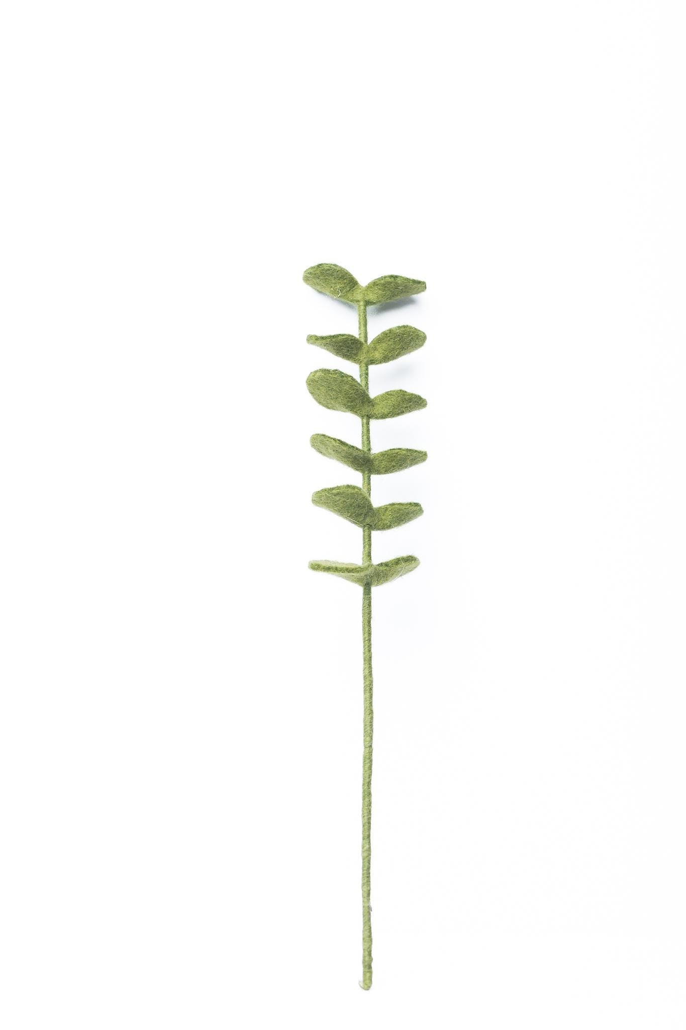 Filz Eukalyptus Zweig – nachhaltige Deko, handgemacht Fair Trade Nepal, grüner Filzzweig, minimalistische Naturdeko