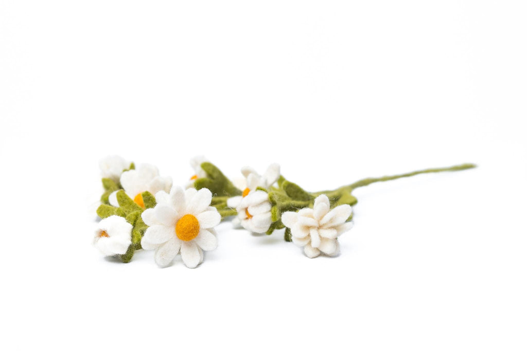 Filzblume Kamille Zweig – handgemachte nachhaltige Deko, Fair Trade aus Nepal, weiße Wildblume, langlebige Blumen Alternative