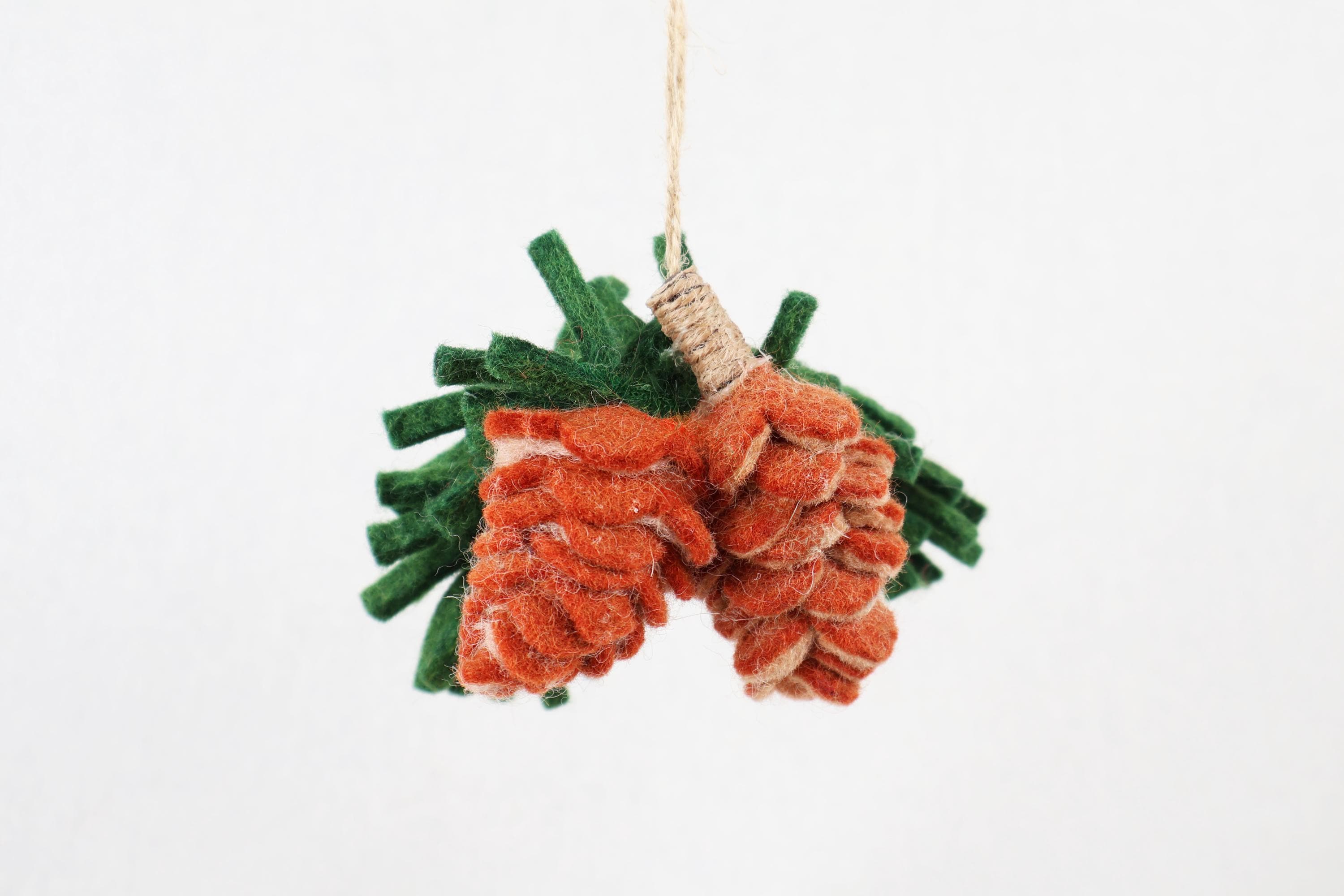 Weihnachtsanhänger Tannenzapfen I Christbaumschmuck I Weihnachtsdeko I Herbstdeko I Winter Weihnachtsbaum I Kiefernzapfen I Walddeko Filz
