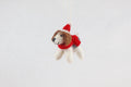 Weihnachtsanhänger Hund Beagle I Filz Christbaumschmuck Weihnachtsdeko I Beagle Welpe