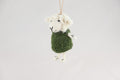 Weihnachtsanhänger Schaf in Pullover I Christbaumschmuck I Weihnachtsdeko I Winter Weihnachtsbaum I Weihnachtsschaf
