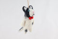 Weihnachtsanhänger Katze mit Fliege I Christbaumschmuck Weihnachtsdeko I Winter Weihnachtsbaum I Weihnachtskatze